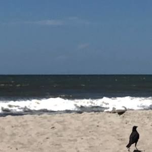 Meet your Posher, Stephen